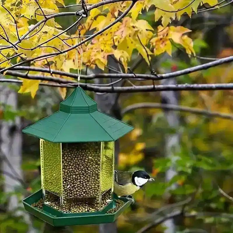 Comedouro Para Passaros Livres Premium Bird Feeder